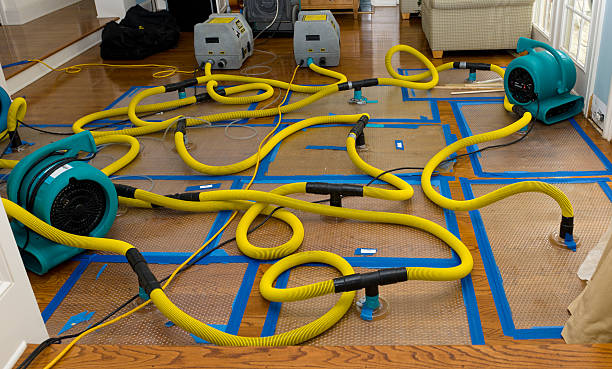 Professional Burst Pipe Water Damage technician working in Westby, WI